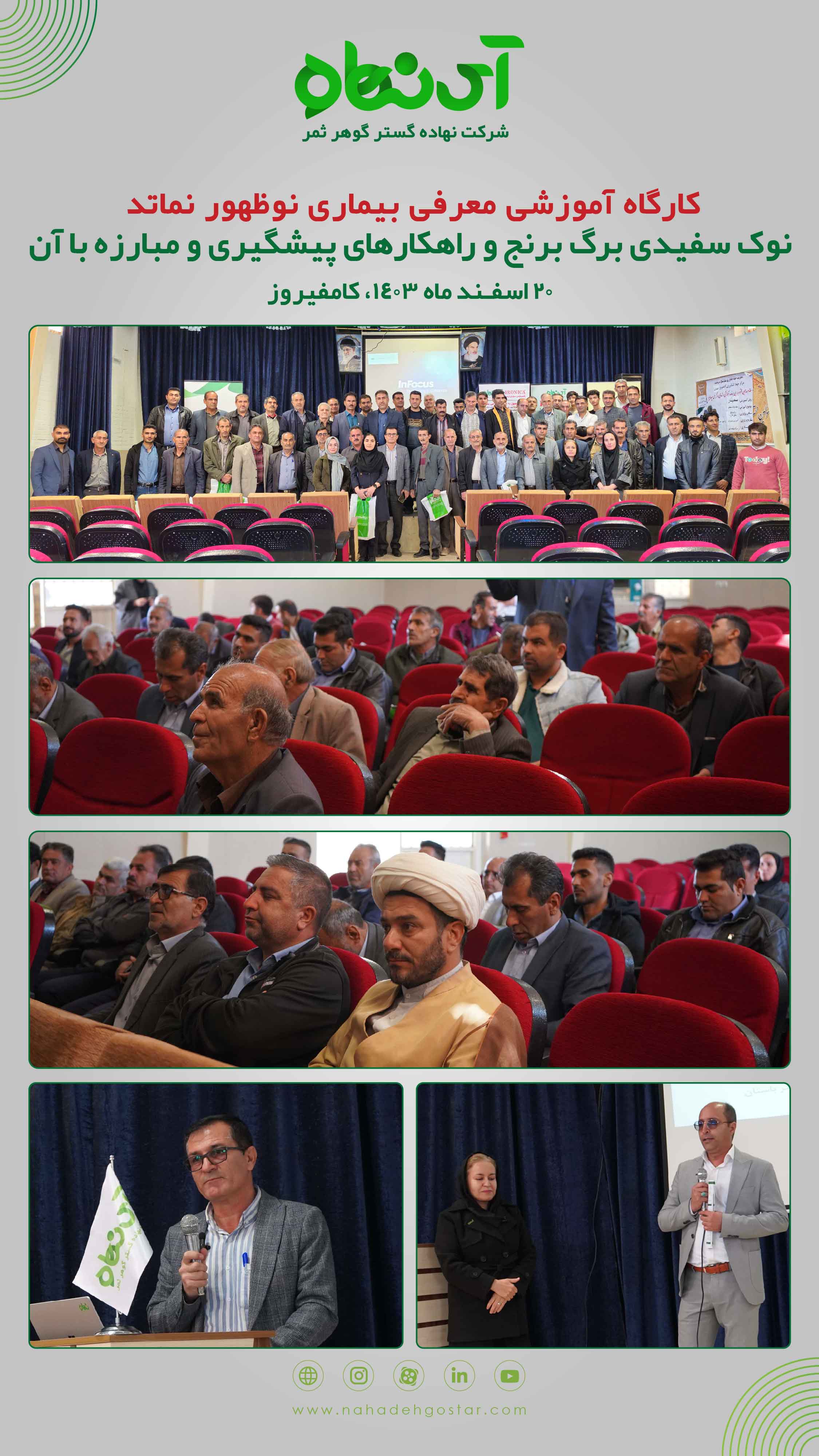 کارگاه آموزشی معرفی بیماری نوظهور نماتد نوک سفیدی برگ برنج